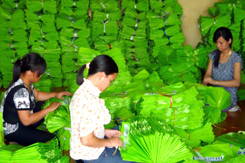Những[-]vấn[-]đề[-]pháp[-]lý[-]về[-]sản[-]xuất[-]và[-]tiêu[-]thụ[-]sản[-]phẩm[-]thân[-]thiện[-]môi[-]trường